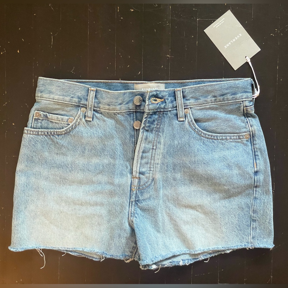 Everlane The Relaxed 90s Short in Vintage Sunbleached Blue Large